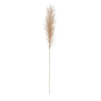 Faux Pampas Grass Plume, Cream Color