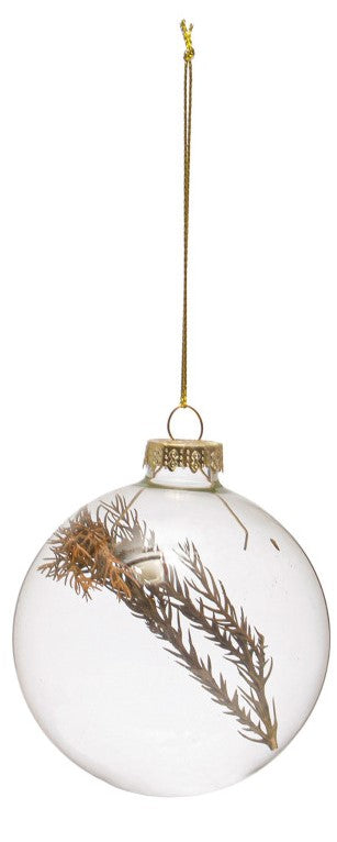 Glass Ball Ornament w/Dried Botanical